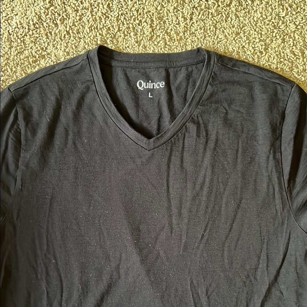 Quince Black V-Neck T-Shirt